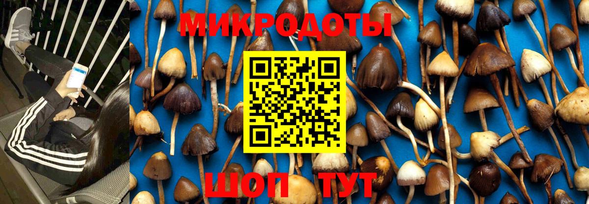 Галлюциногенные грибы Cubensis Лесозаводск